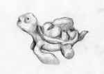 tortue de mer dessin