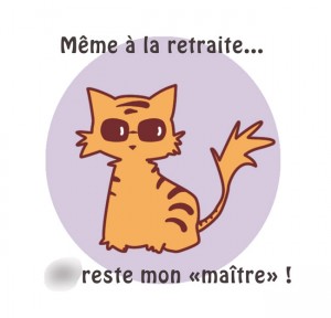 tee-shirt-homme-chat